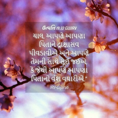 Picture 04 - ઉત્પત્તિ 19:32 GUJIRV - ચાલ, આપણે આપણા - Bible Verse Picture