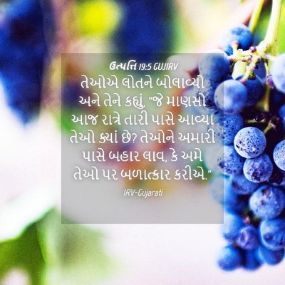 Picture 04 - ઉત્પત્તિ 19:5 GUJIRV - તેઓએ લોતને - Bible Verse Picture