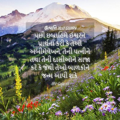 Picture 04 - ઉત્પત્તિ 20:17 GUJIRV - પછી ઇબ્રાહિમે - Bible Verse Picture