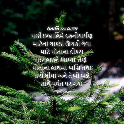 Picture 04 - ઉત્પત્તિ 22:6 GUJIRV - પછી ઇબ્રાહિમે - Bible Verse Picture