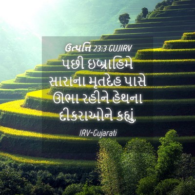 Picture 04 - ઉત્પત્તિ 23:3 GUJIRV - પછી ઇબ્રાહિમે - Bible Verse Picture