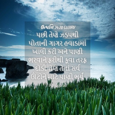 Picture 04 - ઉત્પત્તિ 24:20 GUJIRV - પછી તેણે ઝડપથી - Bible Verse Picture