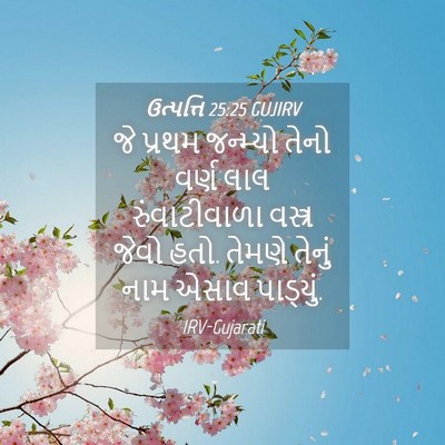Picture 04 - ઉત્પત્તિ 25:25 GUJIRV - જે પ્રથમ જન્મ્યો - Bible Verse Picture