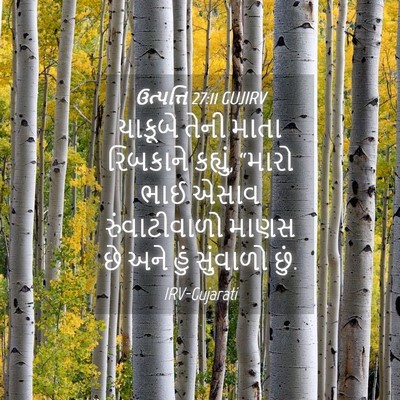 Picture 04 - ઉત્પત્તિ 27:11 GUJIRV - યાકૂબે તેની માતા - Bible Verse Picture