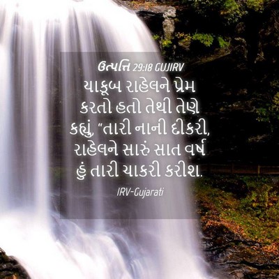 Picture 04 - ઉત્પત્તિ 29:18 GUJIRV - યાકૂબ રાહેલને - Bible Verse Picture