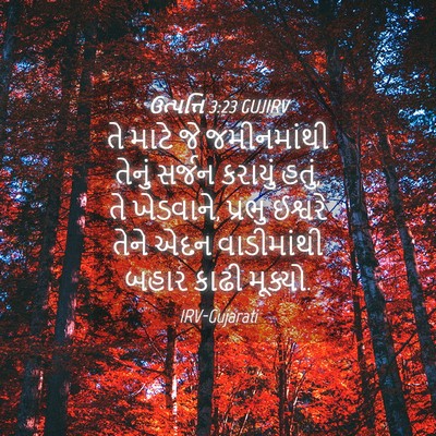 Picture 04 - ઉત્પત્તિ 3:23 GUJIRV - તે માટે જે - Bible Verse Picture