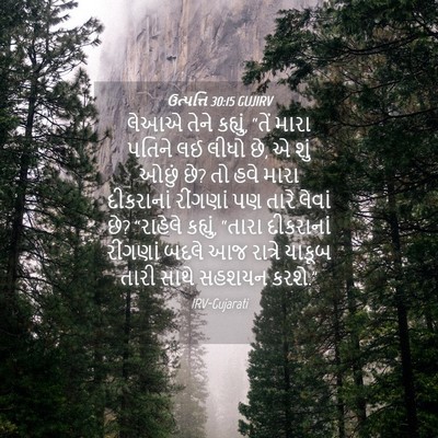 Picture 04 - ઉત્પત્તિ 30:15 GUJIRV - લેઆએ તેને કહ્યું, - Bible Verse Picture