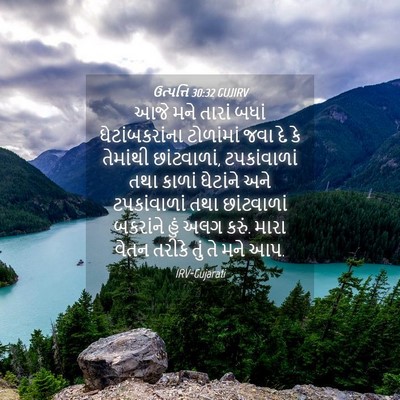 Picture 04 - ઉત્પત્તિ 30:32 GUJIRV - આજે મને તારાં બધાં - Bible Verse Picture