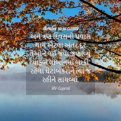 Picture 04 - ઉત્પત્તિ 30:36 GUJIRV - અને ત્રણ દિવસનો - Bible Verse Picture