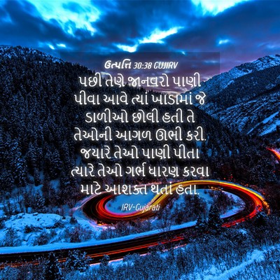 Picture 04 - ઉત્પત્તિ 30:38 GUJIRV - પછી તેણે જાનવરો - Bible Verse Picture
