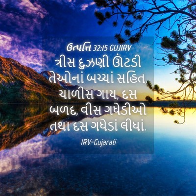 Picture 04 - ઉત્પત્તિ 32:15 GUJIRV - ત્રીસ દુઝણી ઊંટડી - Bible Verse Picture
