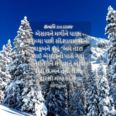 Picture 04 - ઉત્પત્તિ 32:6 GUJIRV - એસાવને મળીને પાછા - Bible Verse Picture