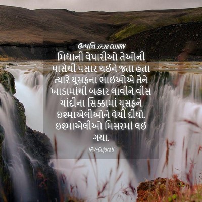 Picture 04 - ઉત્પત્તિ 37:28 GUJIRV - મિદ્યાની વેપારીઓ - Bible Verse Picture