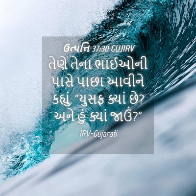 Picture 04 - ઉત્પત્તિ 37:30 GUJIRV - તેણે તેના ભાઈઓની - Bible Verse Picture