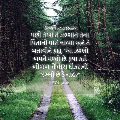 Picture 04 - ઉત્પત્તિ 37:32 GUJIRV - પછી તેઓ તે ઝભ્ભાને - Bible Verse Picture