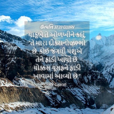 Picture 04 - ઉત્પત્તિ 37:33 GUJIRV - યાકૂબે તે ઓળખીને - Bible Verse Picture
