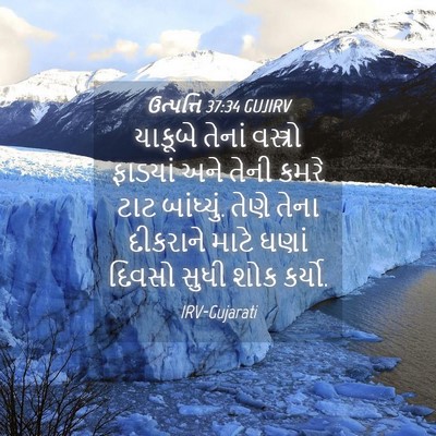 Picture 04 - ઉત્પત્તિ 37:34 GUJIRV - યાકૂબે તેનાં - Bible Verse Picture
