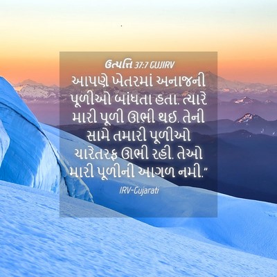 Picture 04 - ઉત્પત્તિ 37:7 GUJIRV - આપણે ખેતરમાં - Bible Verse Picture