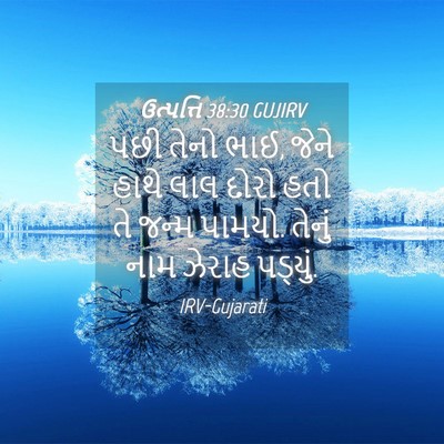 Picture 04 - ઉત્પત્તિ 38:30 GUJIRV - પછી તેનો ભાઈ, જેને - Bible Verse Picture