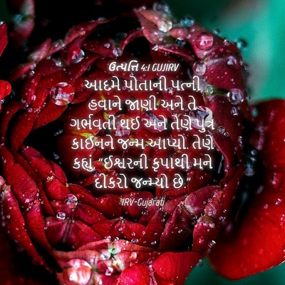 Picture 04 - ઉત્પત્તિ 4:1 GUJIRV - આદમે પોતાની પત્ની - Bible Verse Picture