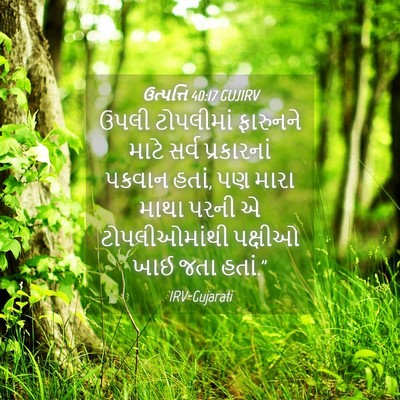 Picture 04 - ઉત્પત્તિ 40:17 GUJIRV - ઉપલી ટોપલીમાં - Bible Verse Picture