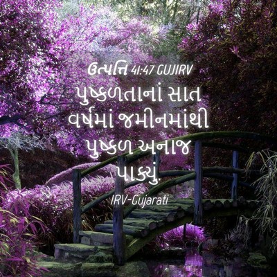 Picture 04 - ઉત્પત્તિ 41:47 GUJIRV - પુષ્કળતાનાં સાત - Bible Verse Picture