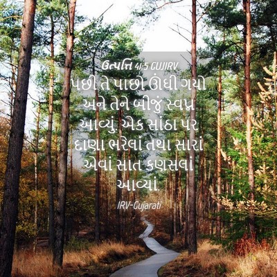 Picture 04 - ઉત્પત્તિ 41:5 GUJIRV - પછી તે પાછો ઊંઘી - Bible Verse Picture