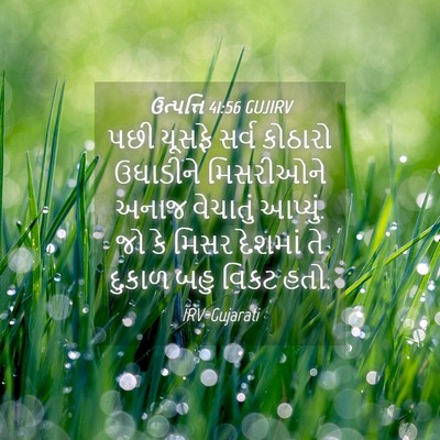 Picture 04 - ઉત્પત્તિ 41:56 GUJIRV - પછી યૂસફે સર્વ - Bible Verse Picture