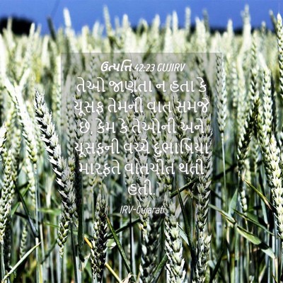 Picture 04 - ઉત્પત્તિ 42:23 GUJIRV - તેઓ જાણતા ન હતા કે - Bible Verse Picture