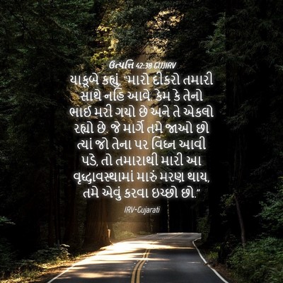 Picture 04 - ઉત્પત્તિ 42:38 GUJIRV - યાકૂબે કહ્યું, - Bible Verse Picture