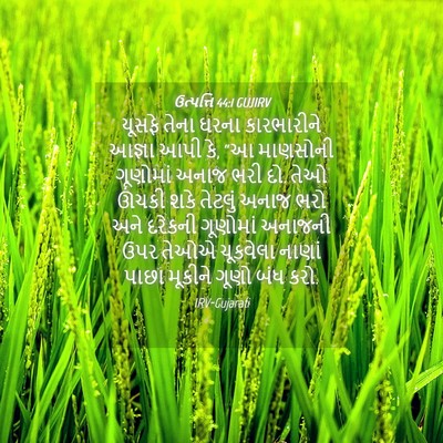 Picture 04 - ઉત્પત્તિ 44:1 GUJIRV - યૂસફે તેના ઘરના - Bible Verse Picture