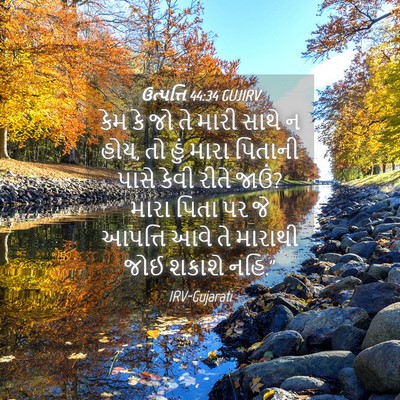 Picture 04 - ઉત્પત્તિ 44:34 GUJIRV - કેમ કે જો તે મારી - Bible Verse Picture
