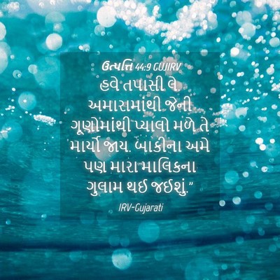 Picture 04 - ઉત્પત્તિ 44:9 GUJIRV - હવે તપાસી લે. - Bible Verse Picture