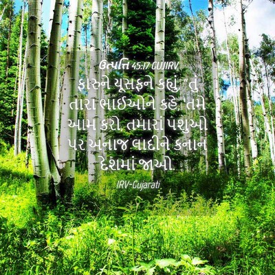 Picture 04 - ઉત્પત્તિ 45:17 GUJIRV - ફારુને યૂસફને - Bible Verse Picture
