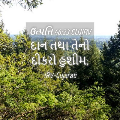 Picture 04 - ઉત્પત્તિ 46:23 GUJIRV - દાન તથા તેનો દીકરો - Bible Verse Picture