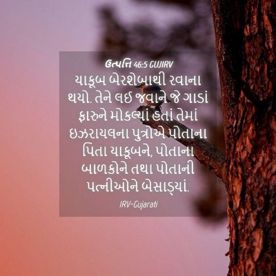 Picture 04 - ઉત્પત્તિ 46:5 GUJIRV - યાકૂબ બેરશેબાથી - Bible Verse Picture