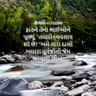Picture 04 - ઉત્પત્તિ 47:3 GUJIRV - ફારુને તેના - Bible Verse Picture