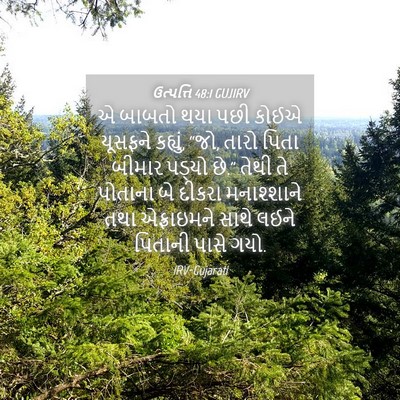 Picture 04 - ઉત્પત્તિ 48:1 GUJIRV - એ બાબતો થયા પછી - Bible Verse Picture
