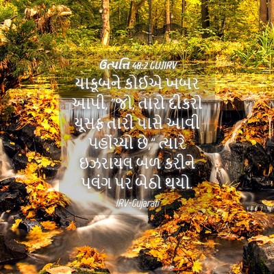 Picture 04 - ઉત્પત્તિ 48:2 GUJIRV - યાકૂબને કોઈએ ખબર - Bible Verse Picture