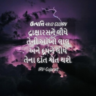 Picture 04 - ઉત્પત્તિ 49:12 GUJIRV - દ્રાક્ષારસને લીધે - Bible Verse Picture