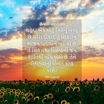 Picture 04 - ઉત્પત્તિ 49:9 GUJIRV - યહૂદા એક મોટું - Bible Verse Picture
