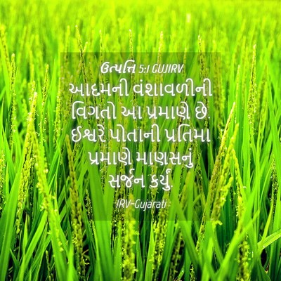 Picture 04 - ઉત્પત્તિ 5:1 GUJIRV - આદમની વંશાવળીની - Bible Verse Picture