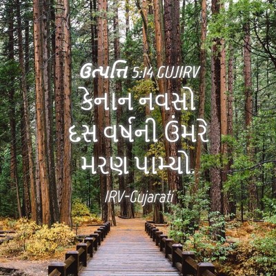 Picture 04 - ઉત્પત્તિ 5:14 GUJIRV - કેનાન નવસો દસ - Bible Verse Picture