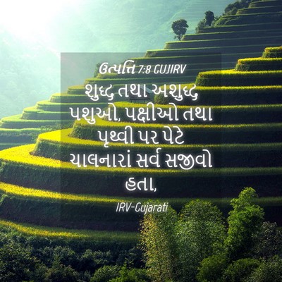 Picture 04 - ઉત્પત્તિ 7:8 GUJIRV - શુદ્ધ તથા અશુદ્ધ - Bible Verse Picture