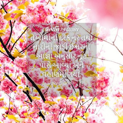 Picture 04 - ઉત્પત્તિ 7:9 GUJIRV - તેઓમાંના દરેક નર - Bible Verse Picture