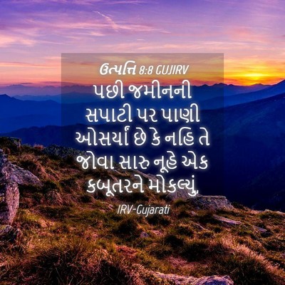 Picture 04 - ઉત્પત્તિ 8:8 GUJIRV - પછી જમીનની સપાટી - Bible Verse Picture
