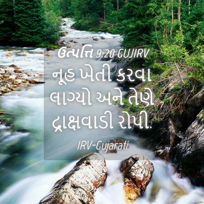 Picture 04 - ઉત્પત્તિ 9:20 GUJIRV - નૂહ ખેતી કરવા - Bible Verse Picture
