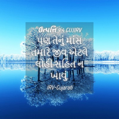 Picture 04 - ઉત્પત્તિ 9:4 GUJIRV - પણ તેનું માંસ - Bible Verse Picture