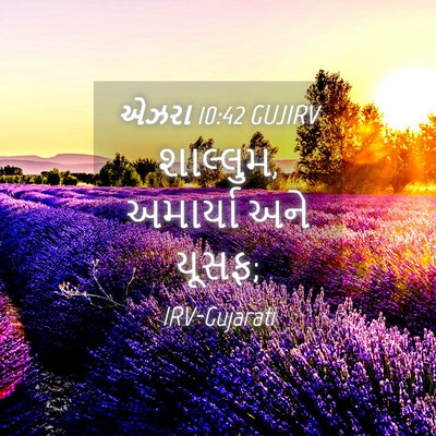 Picture 04 - એઝરા 10:42 GUJIRV - શાલ્લુમ, અમાર્યા - Bible Verse Picture