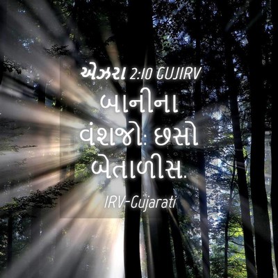 Picture 04 - એઝરા 2:10 GUJIRV - બાનીના વંશજો: છસો - Bible Verse Picture
